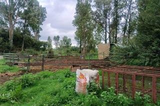 Commercial Property for Sale in Koppies Rural Free State